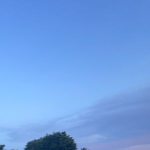 Meet your Posher, Yemely